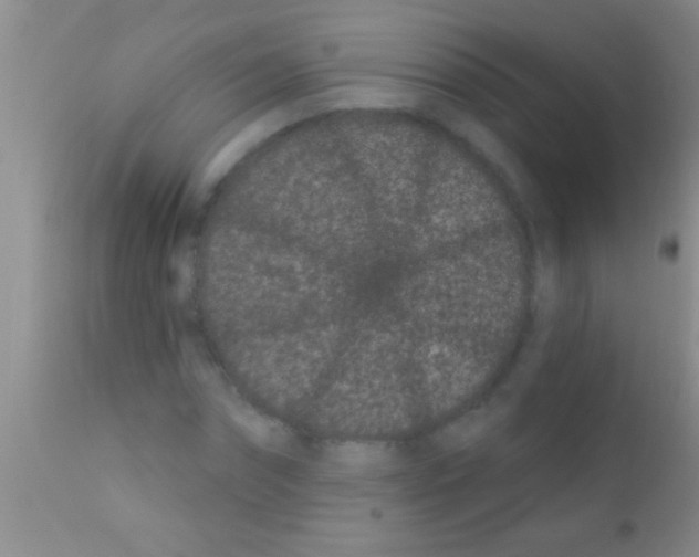 X0000111890874200909031902