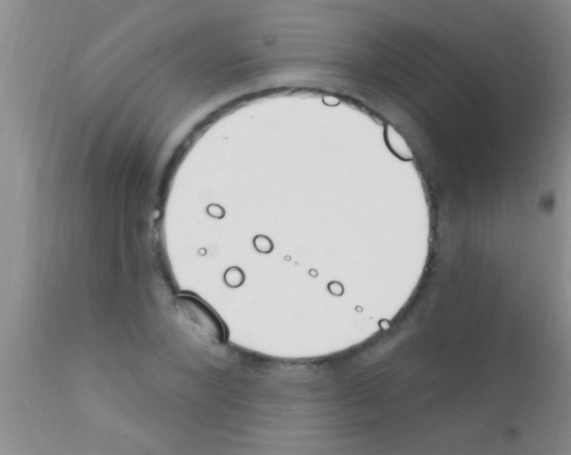 X0000111890880200909031902