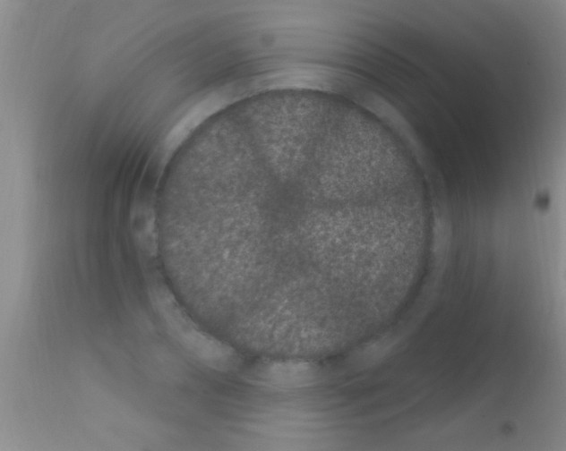 X0000111890882200909031902