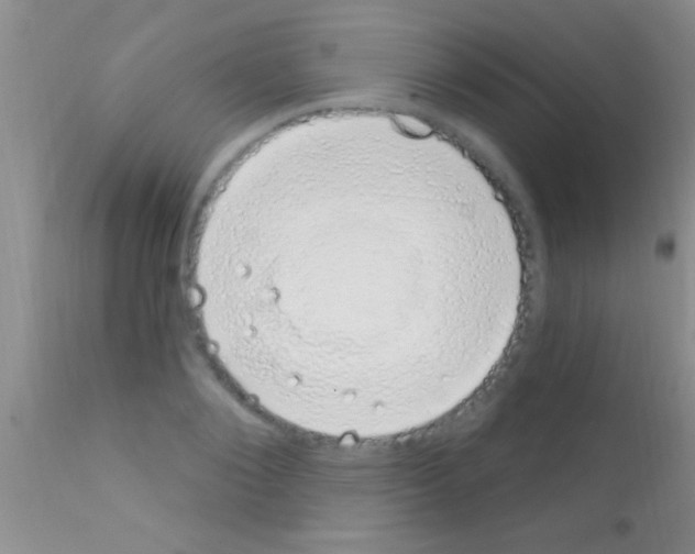 X0000111890884200909031902