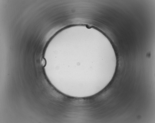 X0000111890885200909031902