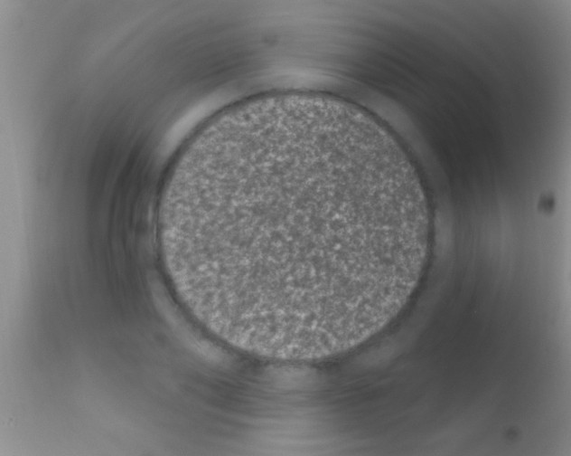 X0000111890886200909031902