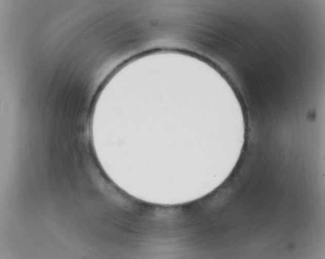 X0000111890887200909031902