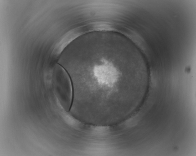 X0000111890889200909031902