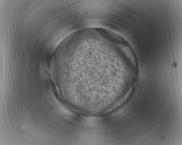 X0000111890897200909031902