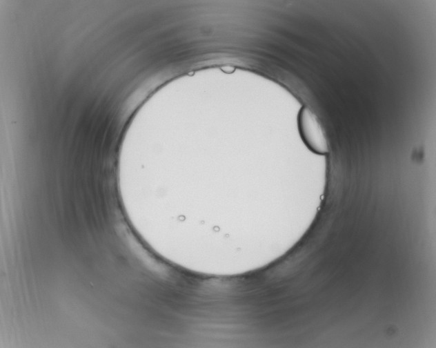 X0000111890898200909031902