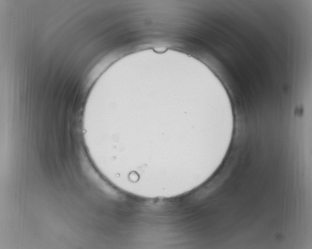 X0000111890906200909031902