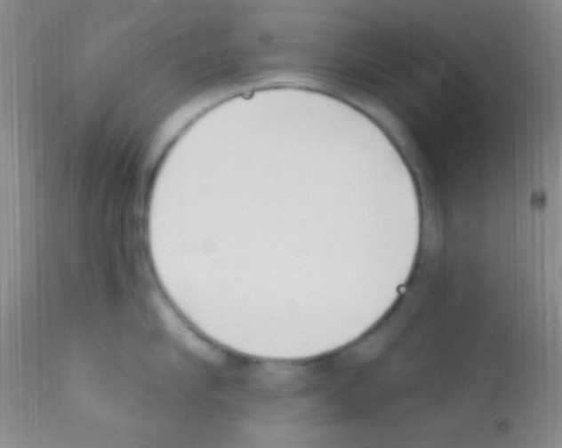 X0000111890910200909031902