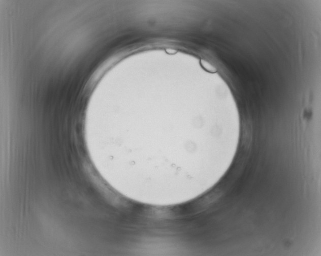 X0000111890911200909031902