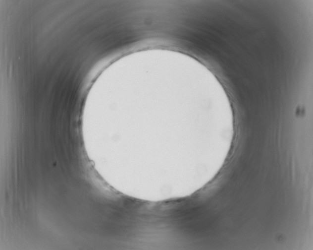 X0000111890912200909031902