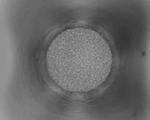 X0000111890913200909031901