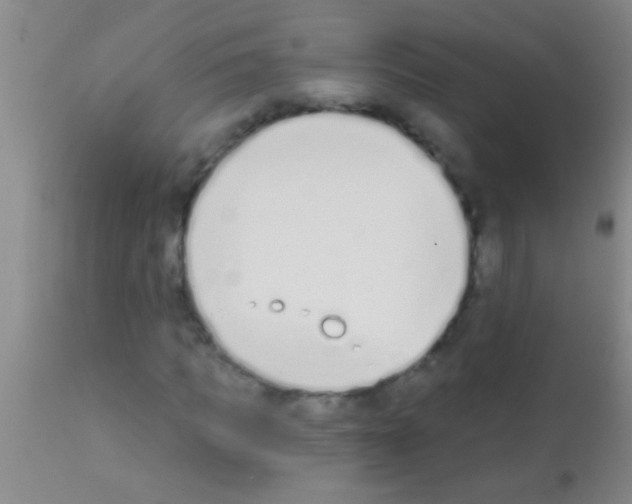 X0000111890917200909031901