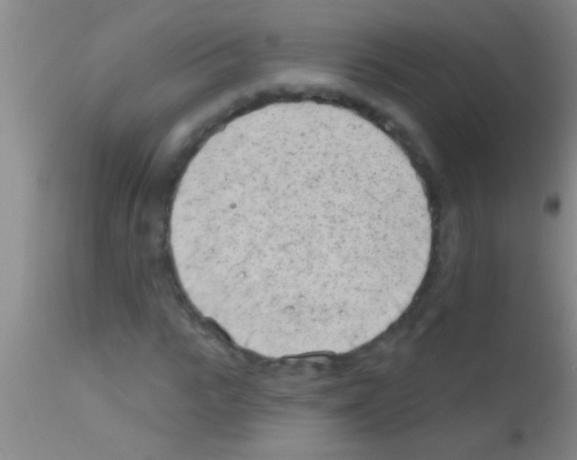 X0000111890919200909031901