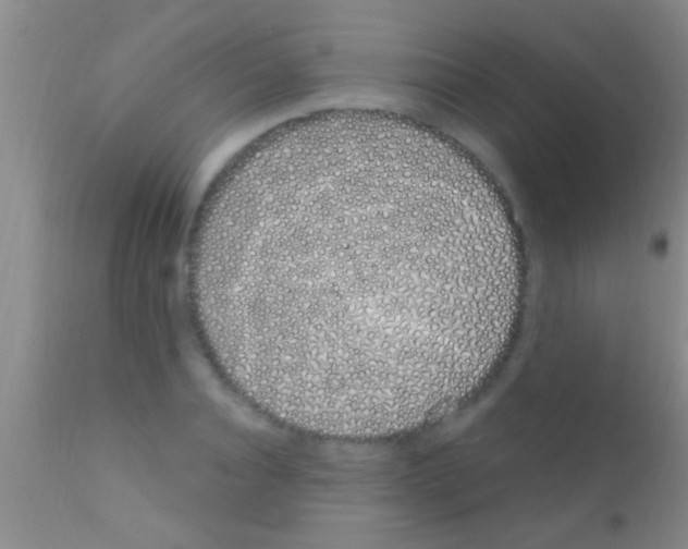 X0000111890928200909031901