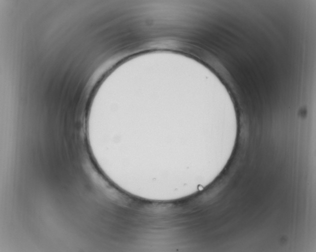 X0000111890939200909031901