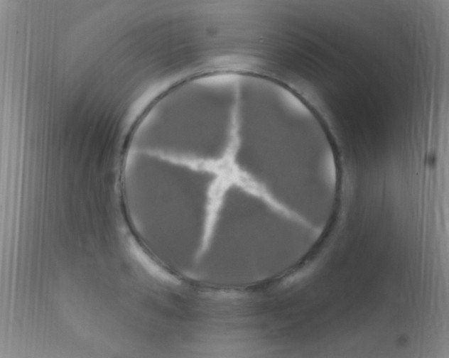 X0000111890941200909031901