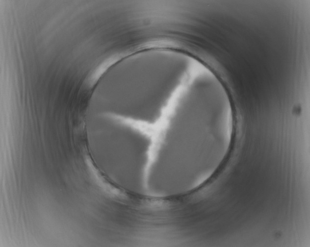 X0000111890945200909031902