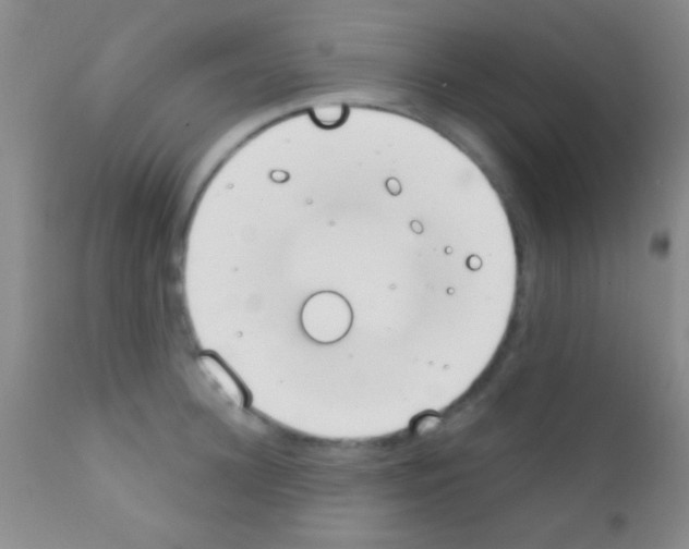 X0000111890948200909031902