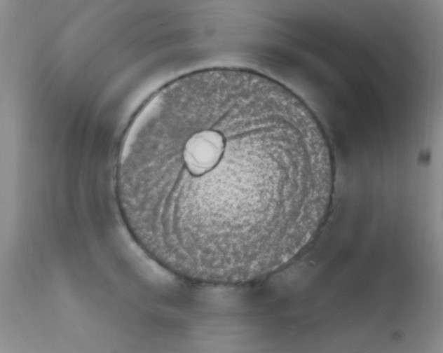 X0000111890950200909031902