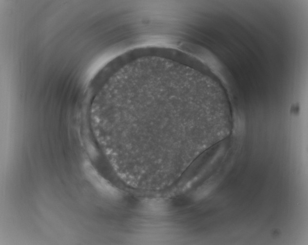 X0000111890952200909031902