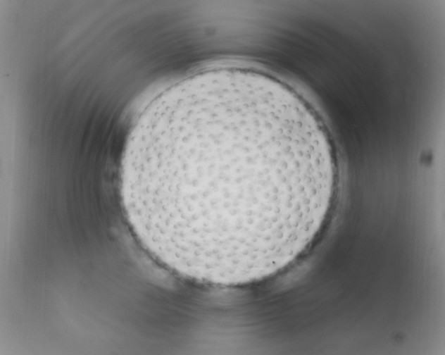 X0000111890953200909031902