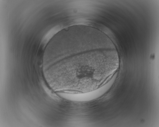 X0000111890954200909031902