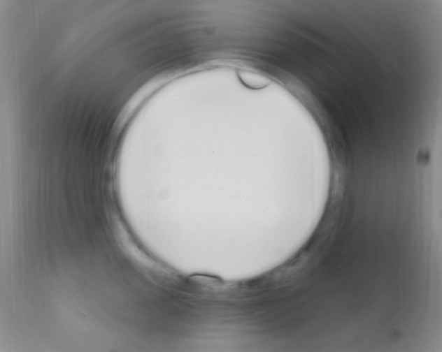 X0000111890955200909031902