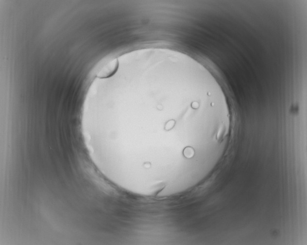 X0000111890956200909031902