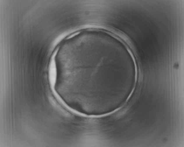 X0000111890958200909031902