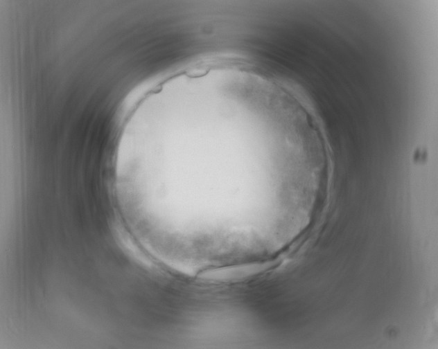 X0000111890960200909031902