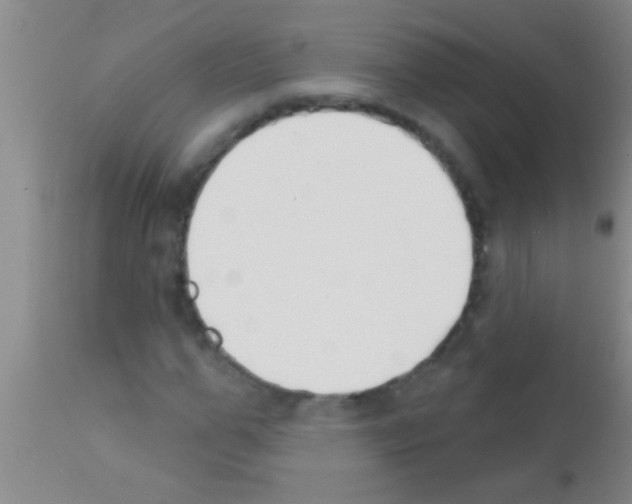 X0000111890967200909031901