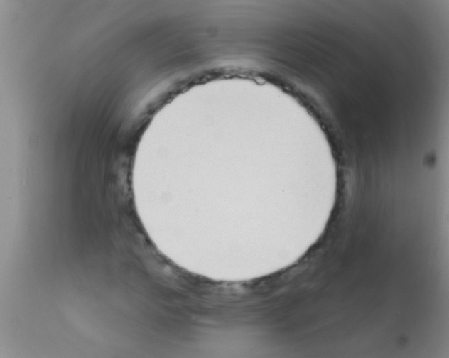 X0000111890968200909031901