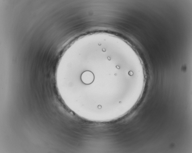 X0000111890969200909031901