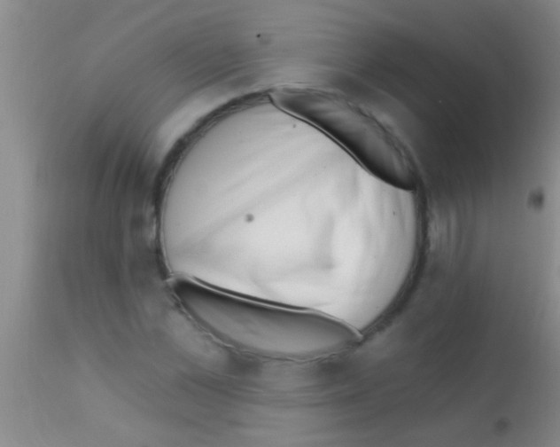 X0000111890973200909031901