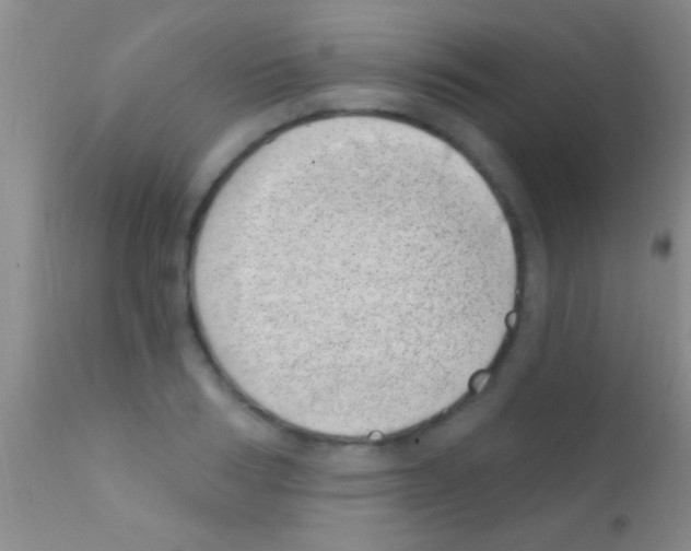 X0000111890986200909031900