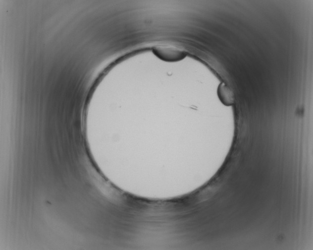 X0000111890988200909031900