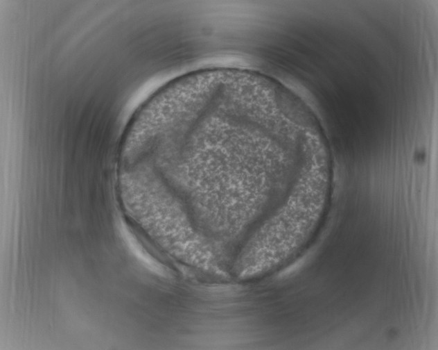 X0000111890989200909031900