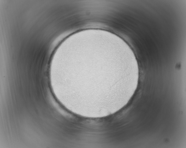 X0000111890995200909031900