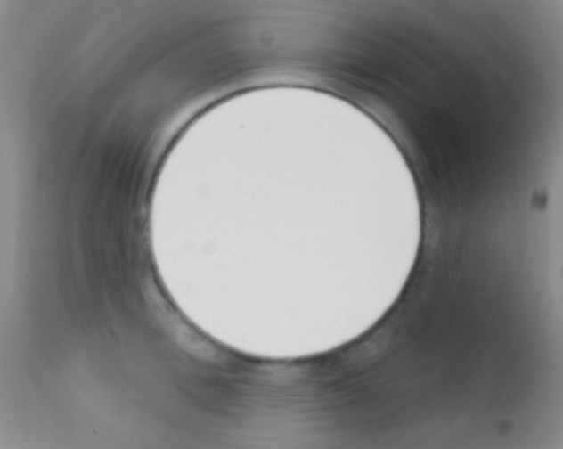 X0000111890996200909031900