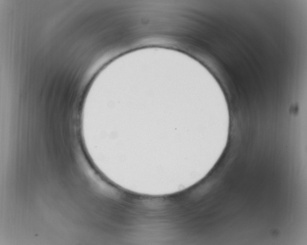 X0000111890999200909031900