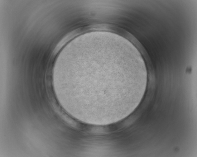 X0000111891002200909031900