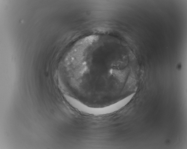 X0000111891009200909031859