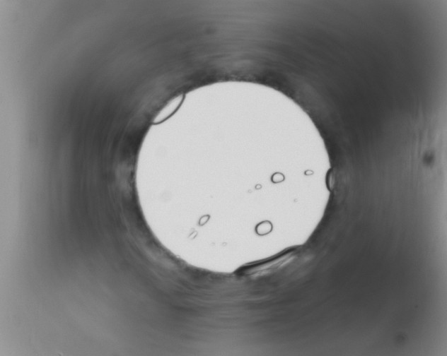 X0000111891010200909031859