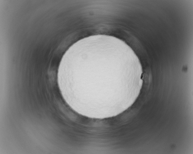 X0000111891011200909031859