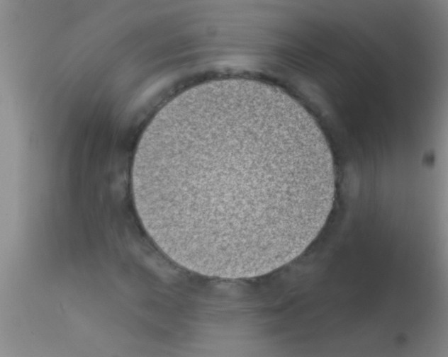 X0000111891015200909031859