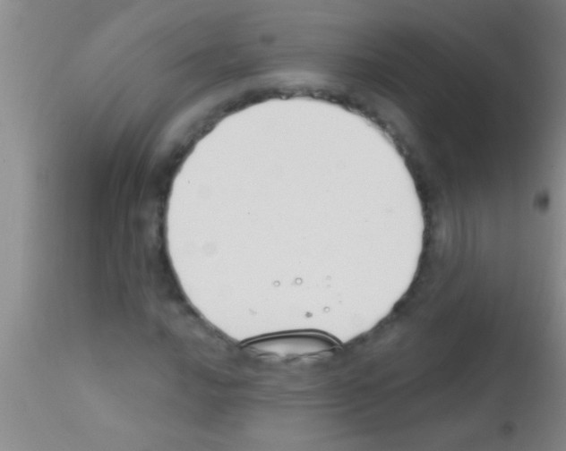 X0000111891016200909031859