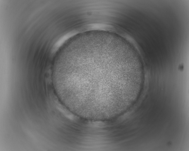 X0000111891019200909031859