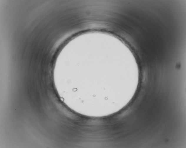 X0000111891021200909031859