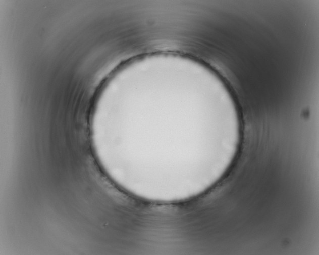 X0000111891023200909031859