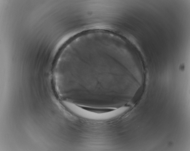 X0000111891024200909031859